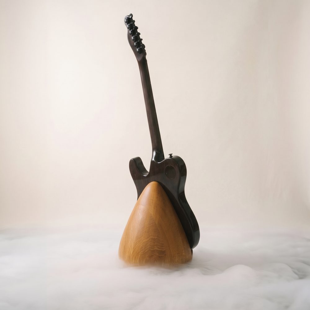 Guitare noire vue de dos sur la Stèle en bois, dans une brume blanche